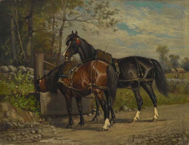 unknow artist Two Horses at a Wayside Trough